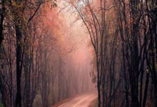 JNSPORTS-关于武汉三镇内部会议纪要流出：今晨完成体检，CBA常规赛使命明确，年轻球员得到机会的信息